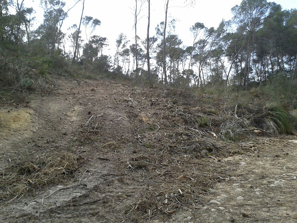 El GOB denuncia que no s’han retirat les restes forestals de la finca de Castellitx.