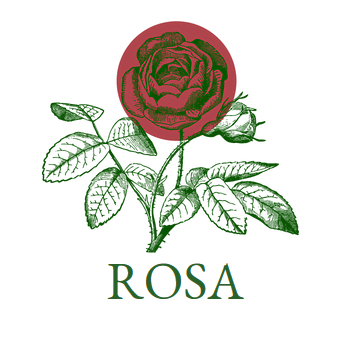 Ja tenim guanyadors dels Premis Castellitx 2019