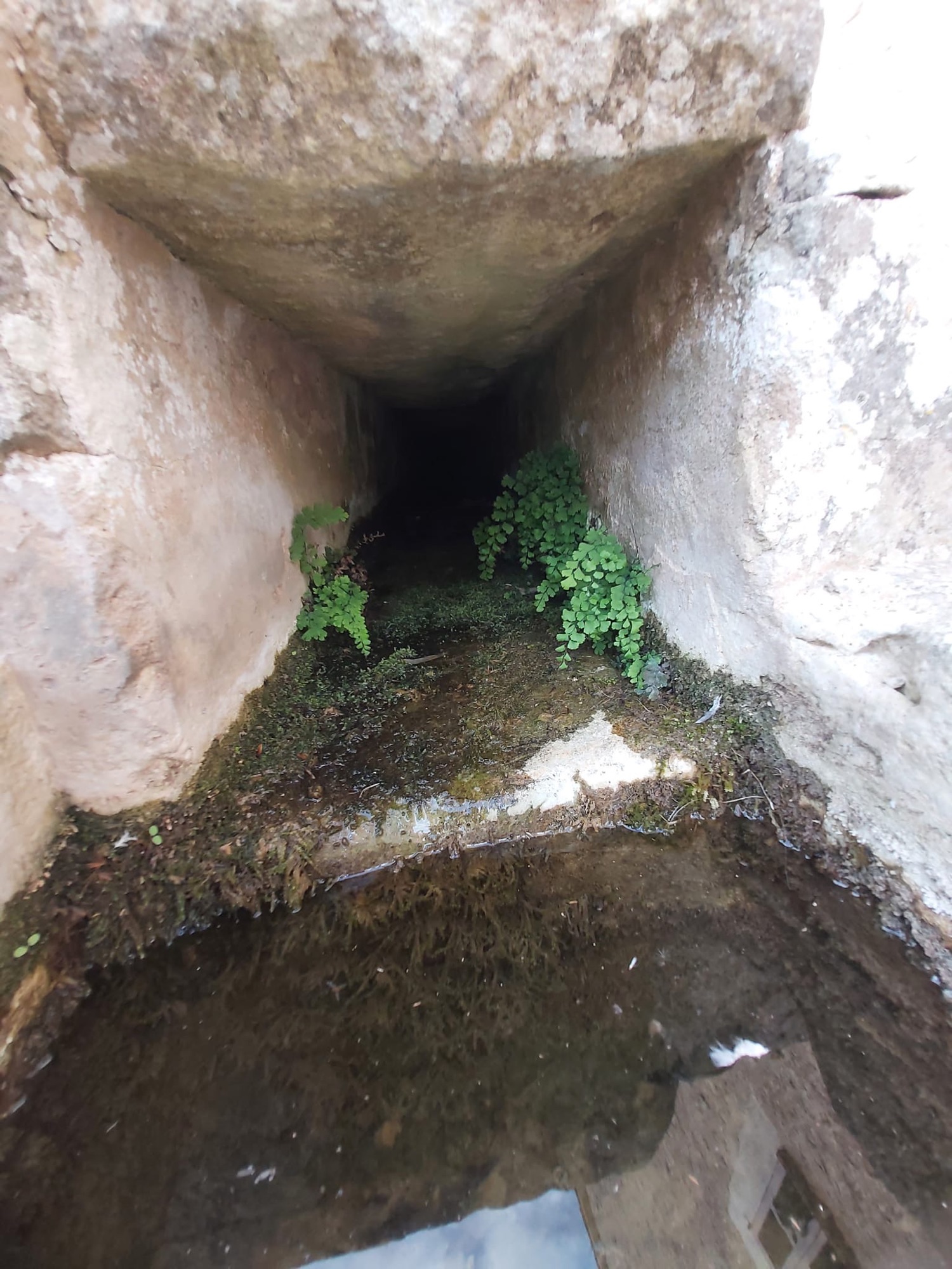 Per sa Font de Randa ja no raja aigua