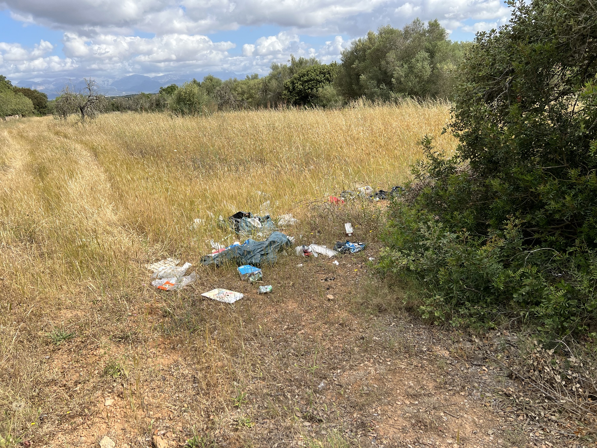 El poble no pot ser un abocador descontrolat. L’Ajuntament anuncia l’obertura d’expedients sancionadors.
